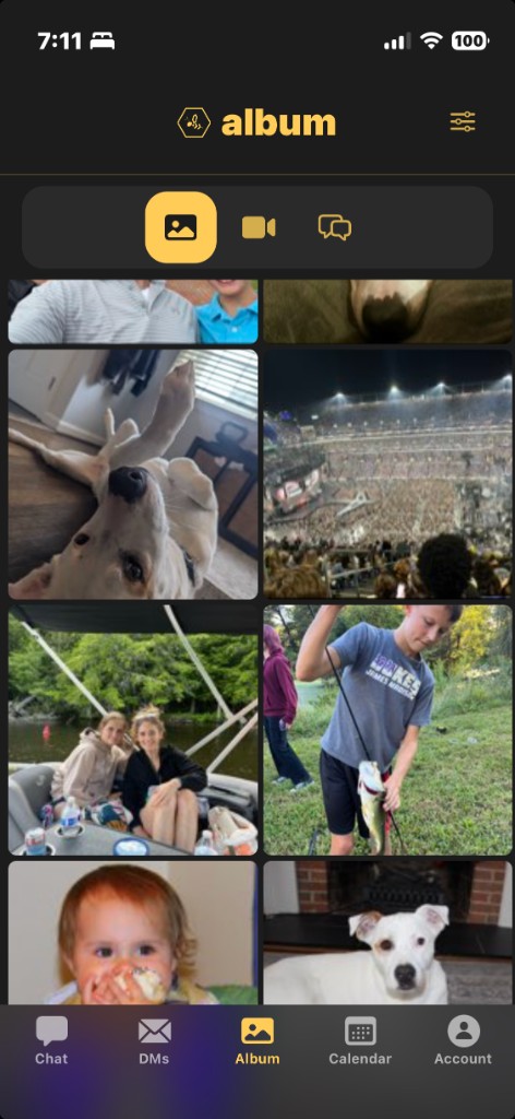 Family album grid of photos collected from chat
